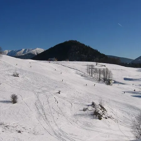 20 Kamzik Apartment *